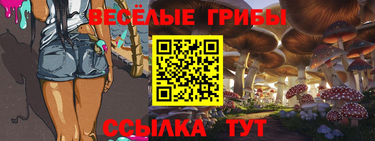 Псилоцибиновые грибы Magic Shrooms  Галлюциногенные грибы прущие грибы  Топки  Вход с VPN 